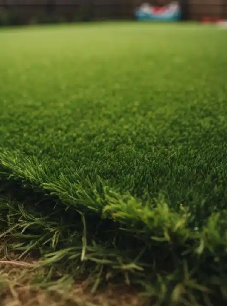 PhotoReal_up_close_real_looking_flar_astro_turf_in_a_backyard_3-1-980x653