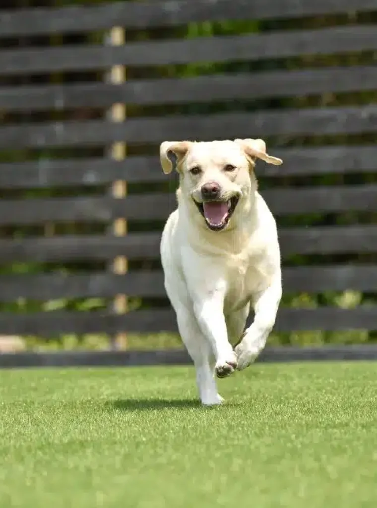 iStock-1220064493-980x652