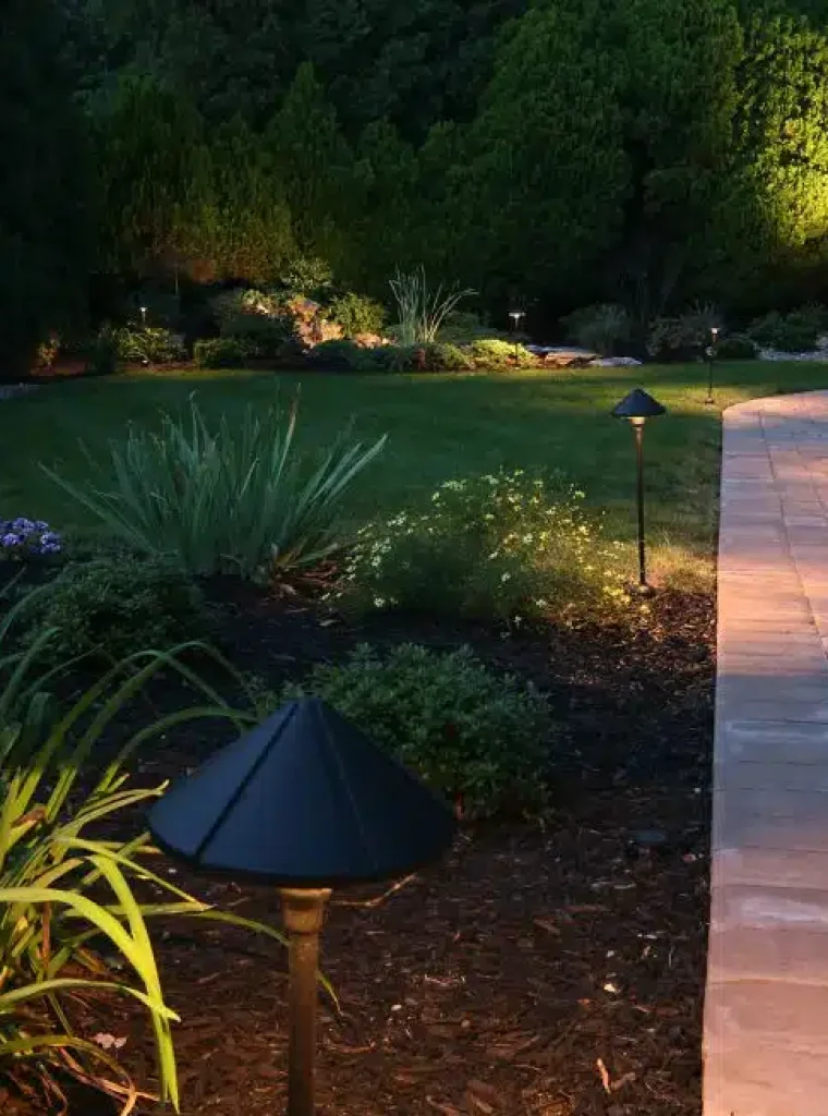 iStock-157313662-980x653