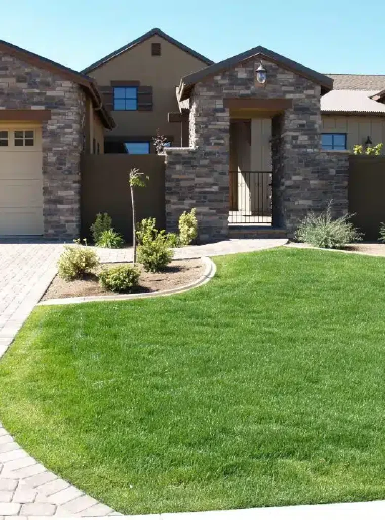 iStock-172386465-980x711